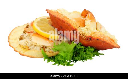 Due granchi di Cromer vestiti isolati su uno sfondo bianco Foto Stock