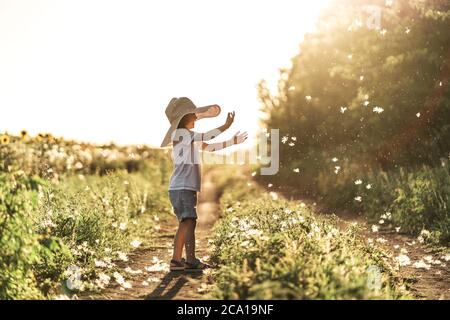 Un ragazzino gioca con i fluffs al tramonto, godendo la vita e la natura. Felice capretto in campagna. Silhouette di un ragazzo nei raggi solari. Aria fresca, concetto di ambiente. Foto Stock