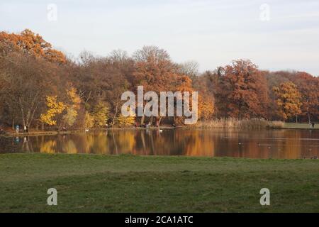 Muenchen, Bayern/ Germania - 10 2012 novembre: Parco vicino al castello di Nyhmphenburg a Monaco, bella giornata d'autunno con foglie colorate Foto Stock
