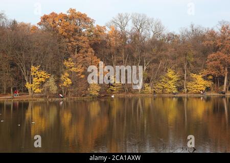 Muenchen, Bayern/ Germania - 10 2012 novembre: Parco vicino al castello di Nyhmphenburg a Monaco, bella giornata d'autunno con foglie colorate Foto Stock
