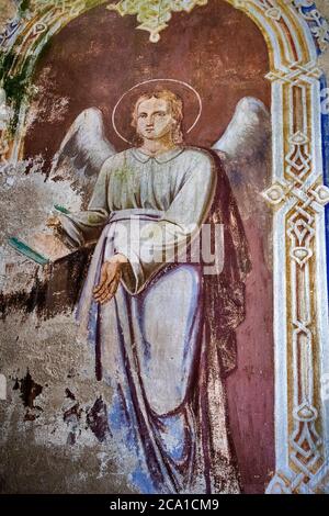 Baskaki, Russia - 27 luglio 2020, il villaggio di Baskaki. Abbandonata chiesa ortodossa dell'Assunzione. Regione di Tver, distretto di Vesyegonsky. Resti di fre Foto Stock