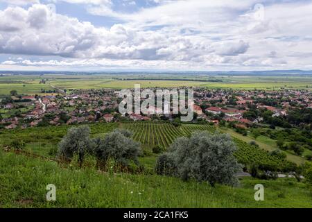 Vista del villaggio Tarcal dalla statua di Cristo Benedizione in Ungheria. Foto Stock