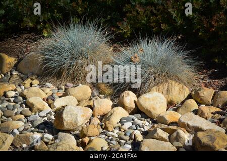 Un ruscello di roccia di fiume asciutto con le piante ornamentali e arbusti che abbellono a Santa Barbara, CA, USA, Foto Stock