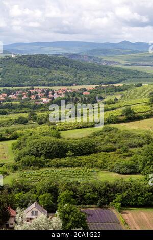 Vista del villaggio Tarcal dalla statua di Cristo Benedizione in Ungheria. Foto Stock