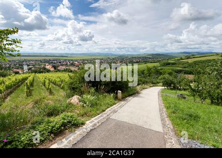 Vista del villaggio Tarcal dalla statua di Cristo Benedizione in Ungheria. Foto Stock