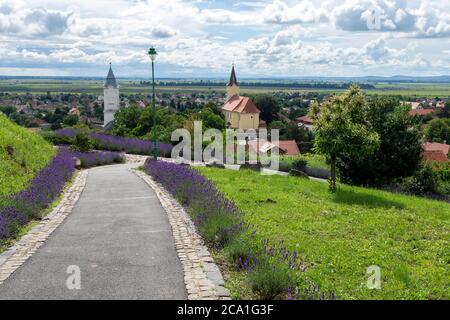 Vista del villaggio Tarcal dalla statua di Cristo Benedizione in Ungheria. Foto Stock