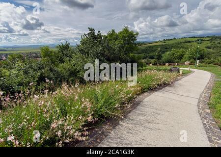 Vista del villaggio Tarcal dalla statua di Cristo Benedizione in Ungheria. Foto Stock