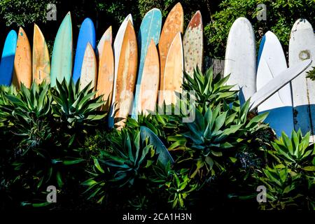 Una serie di tavole da surf in pensione, grugnose e vintage in un giardino di agave che mostra icone di cultura del surf a Santa Barbara, CA, USA Foto Stock