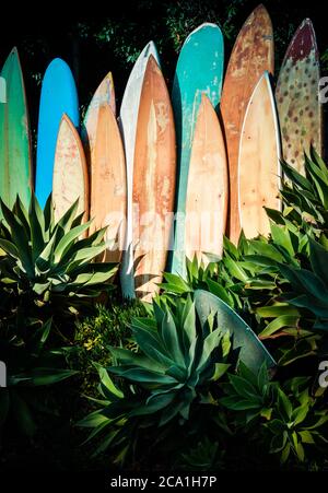 Una linea verticale di tavole da surf in pensione, grugnose e vintage in un giardino di agave nella California meridionale Foto Stock