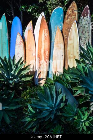 Una linea verticale di tavole da surf in pensione, grugnose e vintage in un giardino di agave nella California meridionale Foto Stock