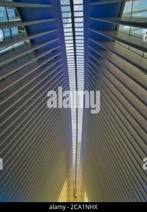 Hub dei Trasporti (Oculus) nella città di New York nel quartiere finanziario vista interna che mostra la sala principale (progettato dall'architetto Santiago Calatrava ) Foto Stock