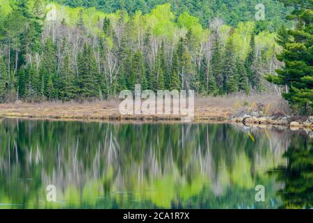 Riflessioni primaverili in Sawmill Lake, Cartier, Ontario, Canada Foto Stock