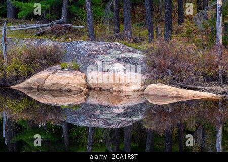 Granito precambriano riflesso in uno stagno di castoro in primavera, Cartier, Ontario, Canada Foto Stock