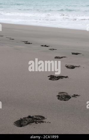 passi sulla sabbia bagnata che conduce all'oceano Foto Stock