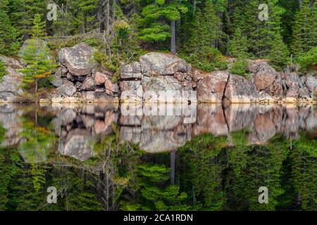 Granito precambriano riflesso in uno stagno di castoro in primavera, Cartier, Ontario, Canada Foto Stock