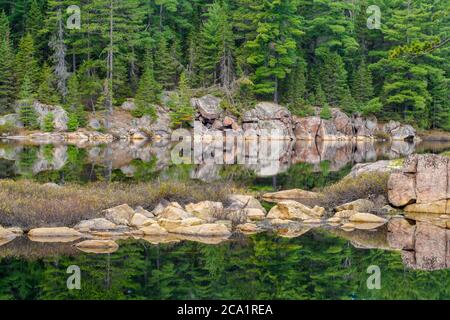 Granito precambriano riflesso in uno stagno di castoro in primavera, Cartier, Ontario, Canada Foto Stock