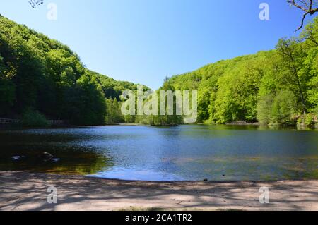 Söderåsen, skåne, nationalpark Foto Stock