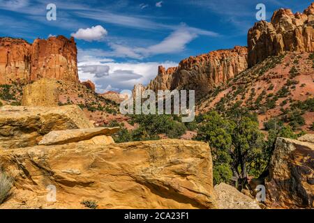 Canyon lungo, Grand Staircase-Escalante monumento nazionale, Utah Foto Stock