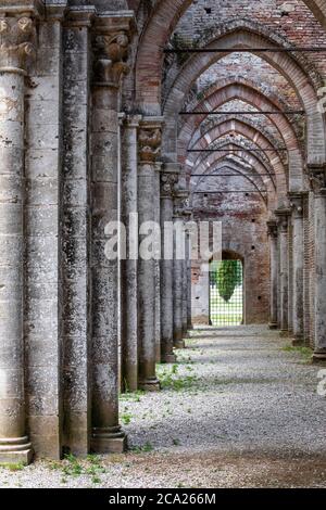Primo piano della navata di un'antica e abbandonata chiesa gotica, con una fila di colonne e archi a punta che conducono ad un'apertura verso il giardino esterno Foto Stock