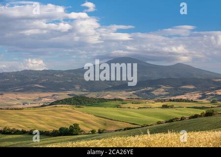 Iconico paesaggio tuscaniano, con colline coperte di terreni agricoli sotto un cielo estivo blu con nuvole soffici Foto Stock