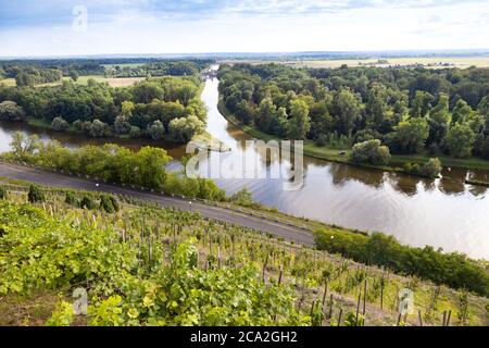 řeka Labe a Horinsky kanal, Vinohrady Karla IV, Melnik, Ceska republika / Elbe fiume, Horin canale, città Melnik, Boemia centrale regione, Repubblica Ceca Foto Stock