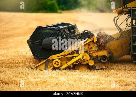 L'unità barra di taglio o la macchina per la mietiscatrice taglia gli steli. Mietitrebbia che lavora in campo di grano. Il conducente della macchina da raccolta taglia il prodotto in un terreno agricolo Foto Stock