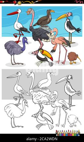 Cartoon Illustrazione di Funny Birds Animal Characters Group Coloring Book Page Illustrazione Vettoriale