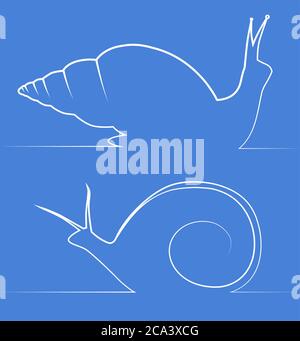 Illustrazione della lumaca Achatina e della lumaca Marisa. Elemento vettoriale per logo, banner e infografiche Illustrazione Vettoriale