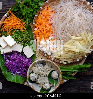 Vassoio di materie prime zuppa di tagliatelle vegane, verdure colorate come carote, germogli di fagioli, bocce di bambù, tofu, semplice piatto vietnamita sano, nutrizione Foto Stock