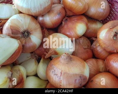 Cestino di cipolle biologiche appena raccolte Foto Stock