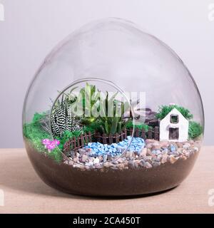 Terrarium, sabbia, roccia, casa di arredamento, succulente, cactus nel vetro Foto Stock