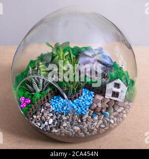 Terrarium, sabbia, roccia, casa d'arredamento, succulente, cactus nel vetro arrotondato Foto Stock