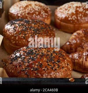 panini al sesamo cotti su carta marrone pergamena, ingrediente per un hamburger, primo piano Foto Stock