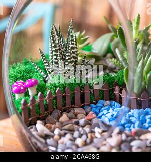 Terrarium, sabbia, roccia, succulente, cactus, arredamento piccola casa in vetro Foto Stock