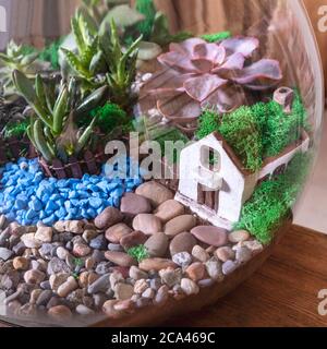 Terrarium, sabbia, roccia, succulente, cactus, arredamento piccola casa in vetro Foto Stock