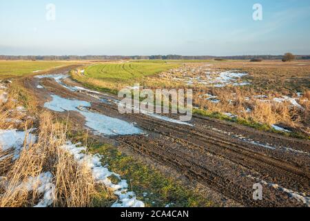 Strada fangosa e congelata attraverso terreni agricoli, vista invernale Foto Stock