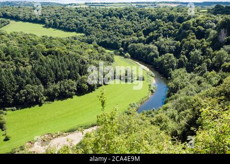 Vista alta sul fiume Wye in Upper Wye Gorge SSSI da Symonds Yat Rock, Forest of Dean, Gloucestershire Herefordshire confine, Inghilterra, Regno Unito, Gran Bretagna Foto Stock