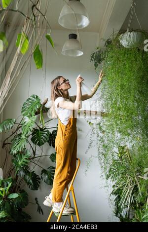 Giovane donna giardiniere in tute arancioni spruzzando lussureggiante asparagi felce pianta domestica nel suo negozio di fiori, in piedi sulla scala. Verde a casa. Amore di Foto Stock