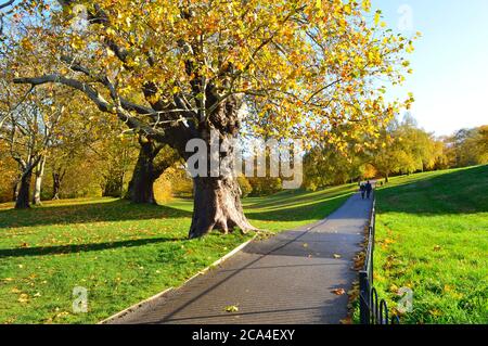 percorso con prato su entrambi i lati e alberi colorati sullo sfondo Foto Stock
