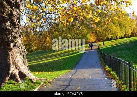 percorso con prato su entrambi i lati e alberi colorati sullo sfondo Foto Stock