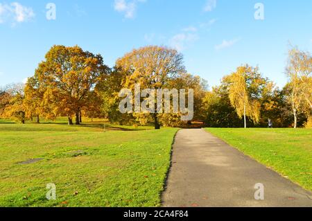 percorso con prato su entrambi i lati e alberi colorati sullo sfondo Foto Stock