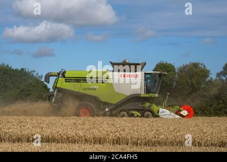 Raccolta invernale della mietitrebbiatrice combinata sul lavoro in campo polveroso Sunny cielo nuvoloso campi alberi formato orizzontale Foto Stock