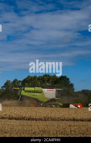 Raccolta invernale della mietitrebbiatrice combinata sul lavoro in campo polveroso Sunny cielo nuvoloso campi alberi formato verticale Foto Stock