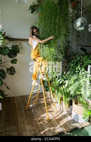 Gioiosa giovane donna giardiniere in tute arancioni in piedi su una scala, abbracciando lussureggiante asparagi felce pianta domestica, nel suo negozio di fiori. Verde a ho Foto Stock