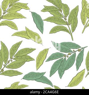 Bay leaf grafica colore verde motivo senza giunture sfondo illustrazione dello schizzo vettore Illustrazione Vettoriale