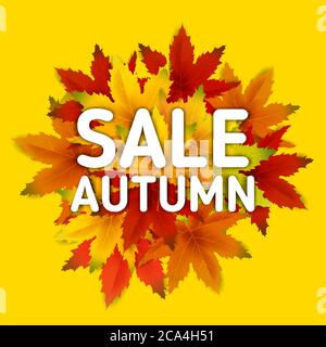 Offerta speciale Offerta Autunno sfondo modello, con caduta mazzo di foglie, vendita shopping o poster stagionale per la promozione sconto shopping Illustrazione Vettoriale