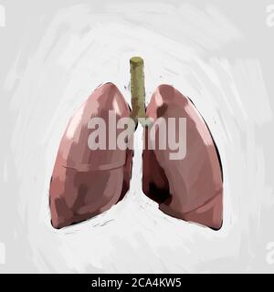 Illustrazione medica dei polmoni umani che mostra i polmoni infetti in arancione brillante. Illustrazione 3D Foto Stock