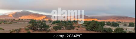 Vista panoramica da Sossusvlei verso Deadvlei. La duna grande e gli alberi sono visibili Foto Stock