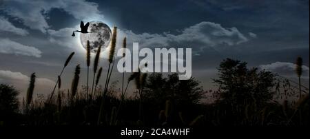 Cicogna con un bambino che vola sulla luna Foto Stock