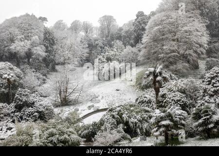 Giardino Trebah; neve; Cornovaglia; Regno Unito Foto Stock